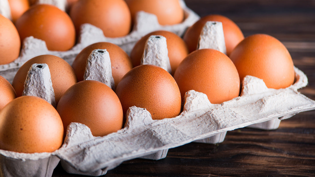Are Eggs a Good Pre-Workout Meal?