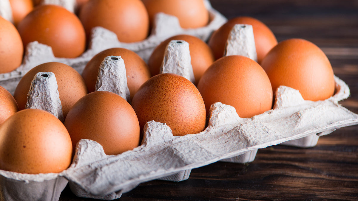 Are Eggs a Good Pre-Workout Meal?