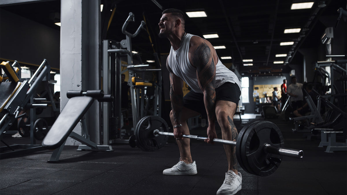 Hypertrophy vs. Strength Training: Key Differences Explained